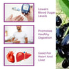 Srishma Jamun & Shilajit Powder for Blood Sugar Support – Natural Diabetic Care | 210g