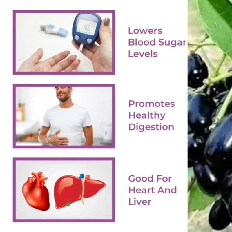 Srishma Jamun & Shilajit Powder for Blood Sugar Support – Natural Diabetic Care | 210g