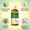 Dr. Kaiwart Garlic Lemon Ginger Syrup 500ml – Ayurvedic Herbal Tonic for Heart Health, Cholesterol & Blood Pressure Support | Natural Immunity & Detox Formula