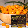 DR. KAIWART Sea Buckthorn Juice Pack of 2, Himalayan Berry, Enrich With Omega 3,6,9 & 7 (2 x 500 ml)