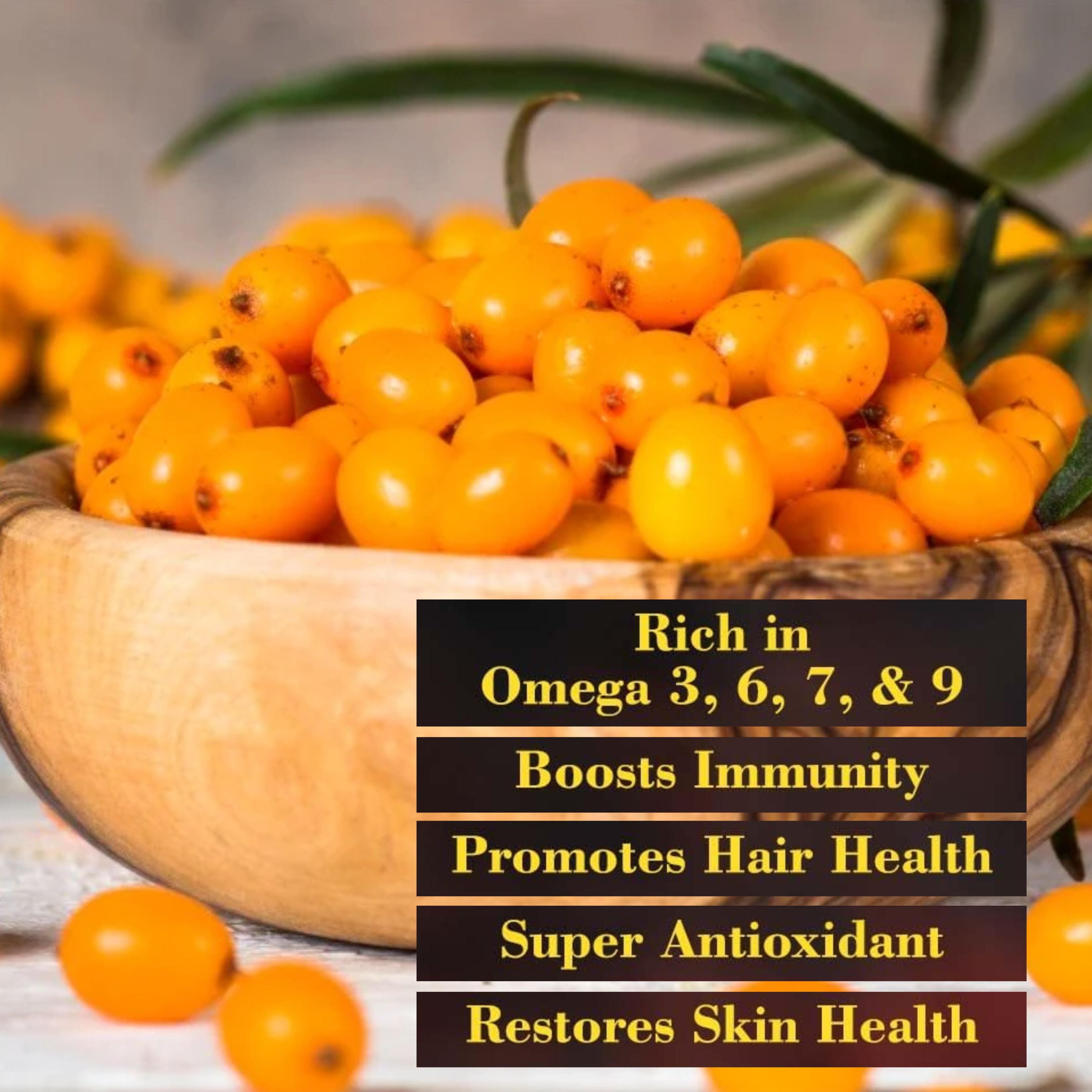 DR. KAIWART Sea Buckthorn Juice Pack of 2, Himalayan Berry, Enrich With Omega 3,6,9 & 7 (2 x 500 ml)