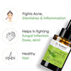 Dr. Kaiwart Tea Tree Essential Oil 100% Pure & Natural – For Acne, Skin Care, Hair Growth, Diffuser & Aromatherapy (30ml)
