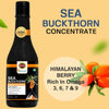 Srishma Sea Buckthorn Concentrate Pack Of 2 – 100% Natural Himalayan Berry Juice | Rich in Vitamin C & Antioxidants - Set Of 2